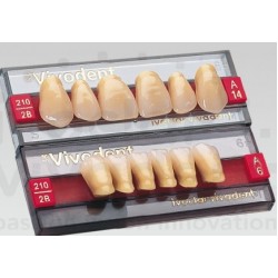 Dientes SR-Vivodent Anterior Sup. A17 A2 6 pzas*